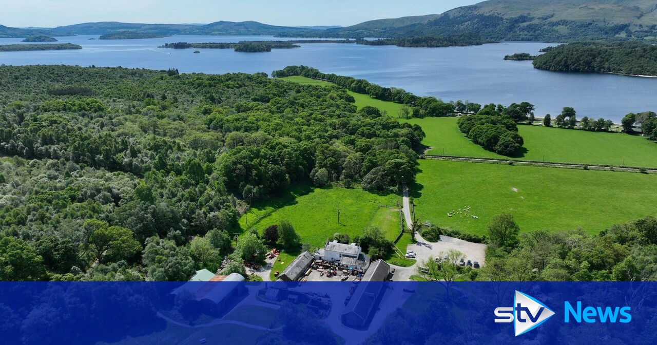 Conservation estate on banks of Loch Lomond goes on sale for £4m | STV News