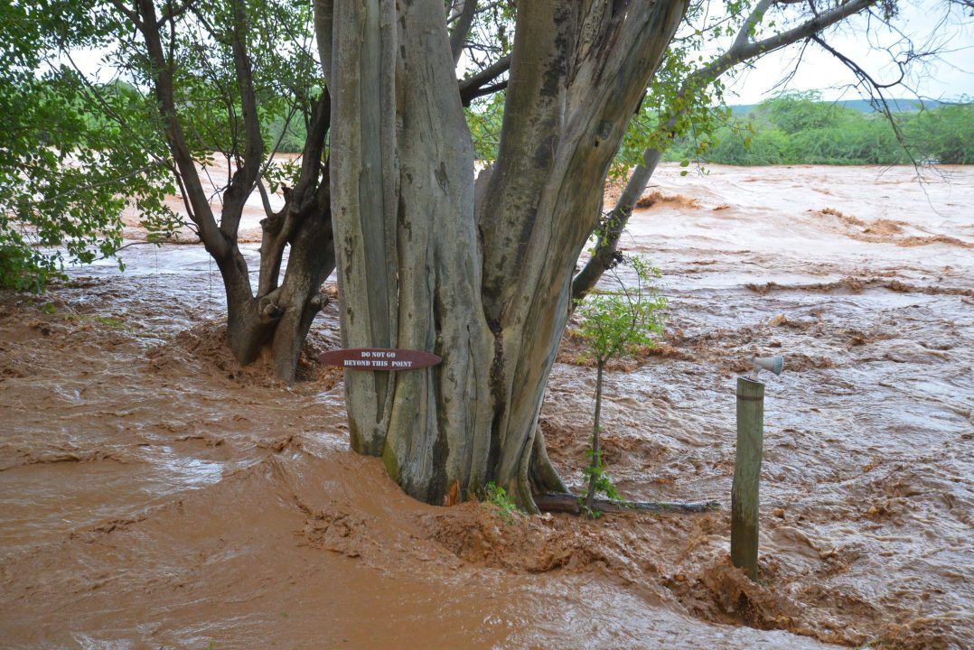 Kenya to receive £250,000 aid from Scottish Government due to floods