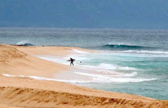 Lifeguard dies in shark attack while surfing in Hawaii