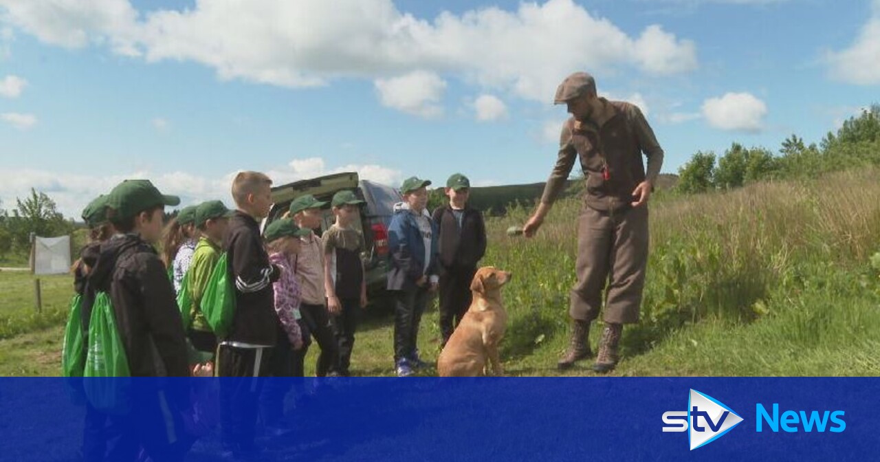 School pupils take part in gamekeeping workshop at rural Glenogil ...