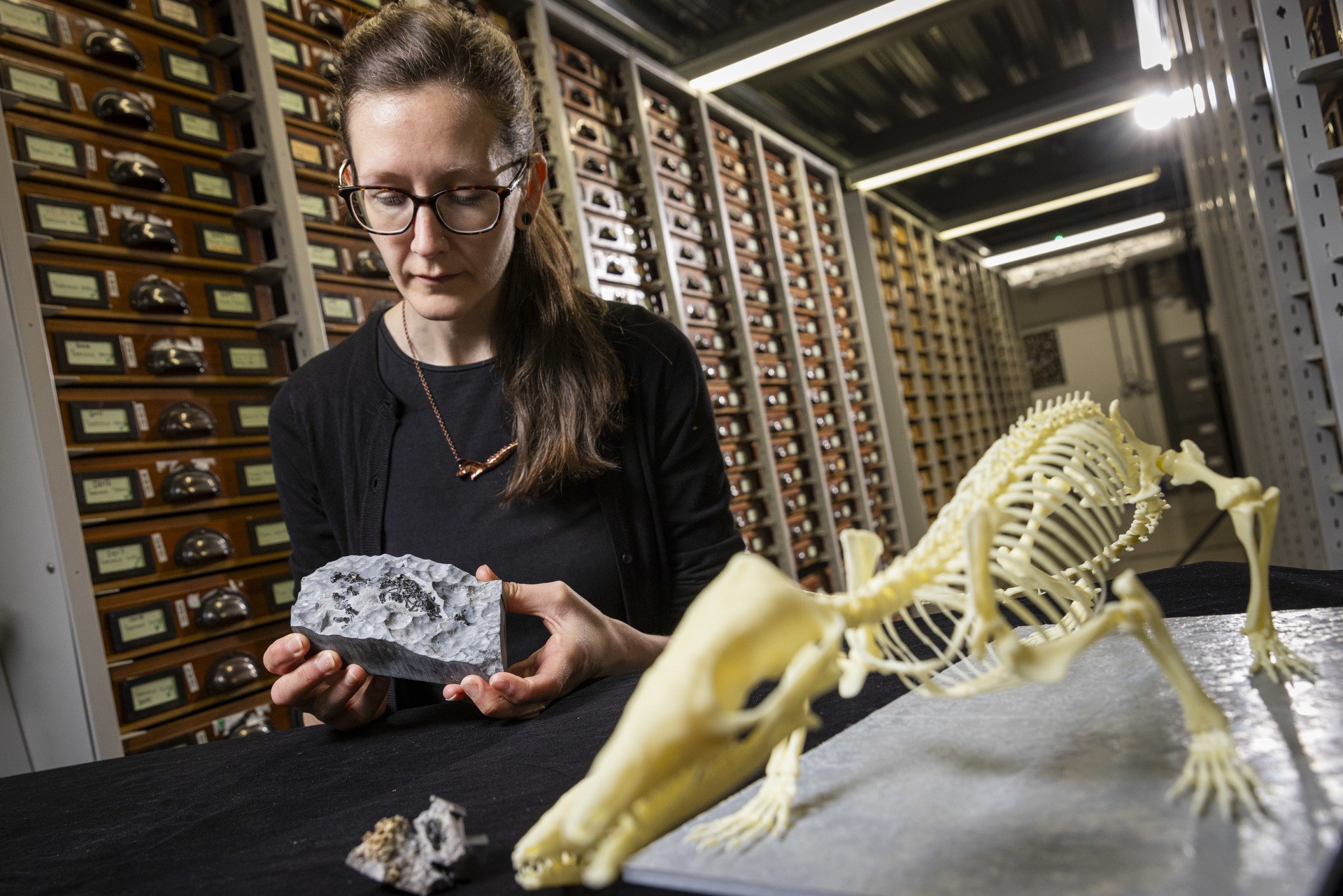 National Museums Scotland's Dr Elsa Panciroli examines two krusatodon kirtlingtonesis fossils. Photo (c) Duncan Mc Glynn (4)