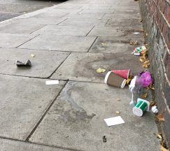 Edinburgh Council issued just one littering fine last year amid ‘litter emergency’