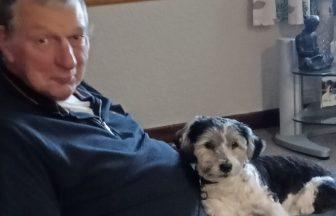 Call for action after pensioner’s dog killed by speeding driver in Livingston