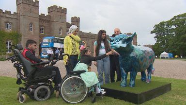 Highland Coo sculpture trail across Perthshire to raise money for CHAS children’s hospices