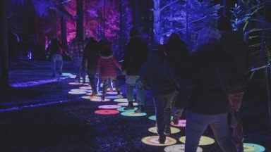 Enchanted Forest organisers say even more money given to local causes