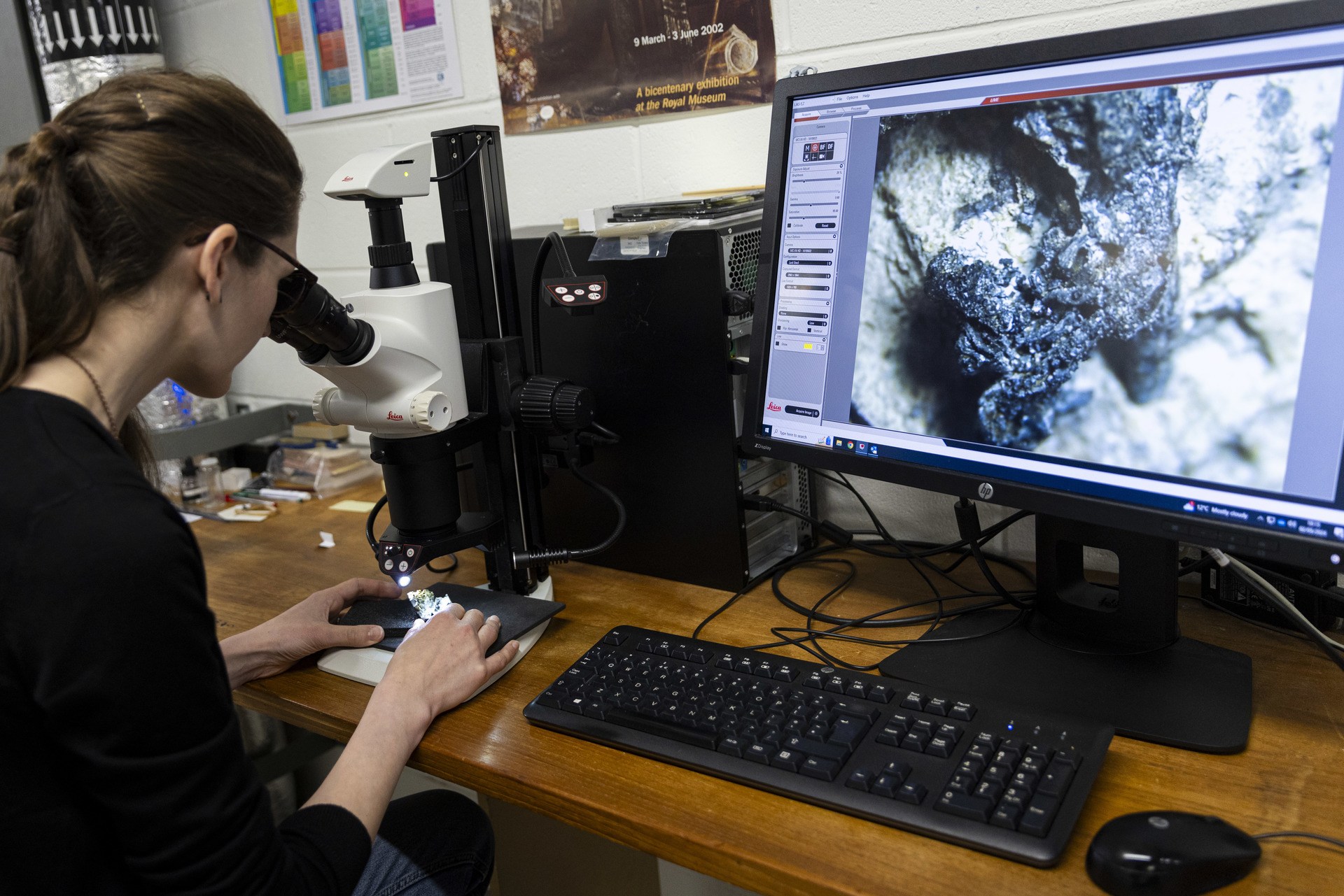 National Museums Scotland's Dr Elsa Panciroli examines two krusatodon kirtlingtonesis fossils. Photo (c) Duncan Mc Glynn (2)