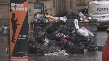 Councils call for Government intervention to stop bin strikes