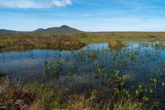 Remote Scottish peatland granted world heritage status