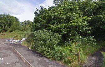 Man in serious condition after being ‘slashed’ in woods as three arrested