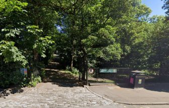 Schoolchildren robbed at knife-point while playing in Glasgow park