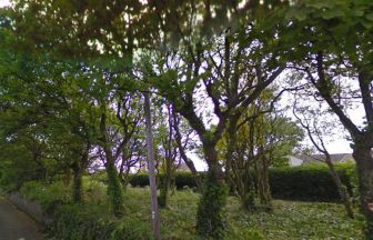 Major renovation proposed for forest in ‘poor condition’ in Fife