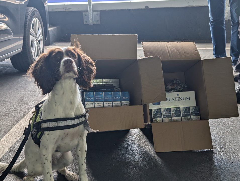 Tobacco sniffer dogs uncover £8,000 worth of illegal cigarettes and tobacco in East Renfrewshire shops