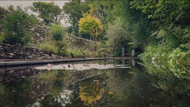 Historic botanical gardens to re-open as part of special event