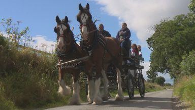 Highland farm keeping Clydesdale horse breed alive