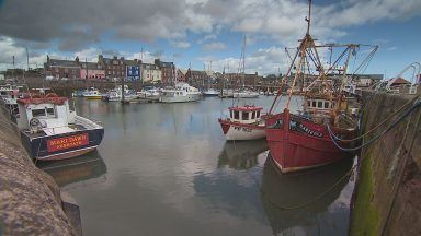 Arbroath Harbour must see investment ‘whatever the cost’