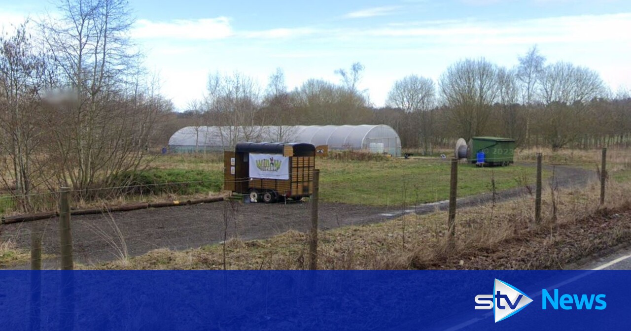 Former Scotland rugby international wins fight to live on farm land