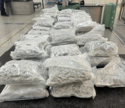 Border Force officers detected around 60 kilos of the drug in two suitcases which had arrived on a flight from Bangkok.