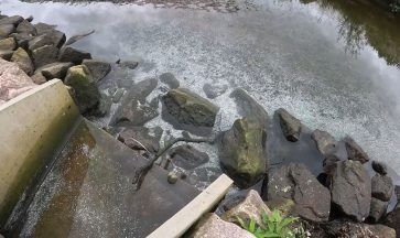 SEPA launch investigation into reports of pollution in River Lochy as blood and fish scales spotted in water