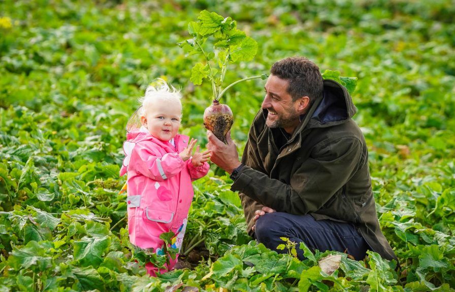 Scotland's first neep picking patch aims to revive Halloween turnip ...