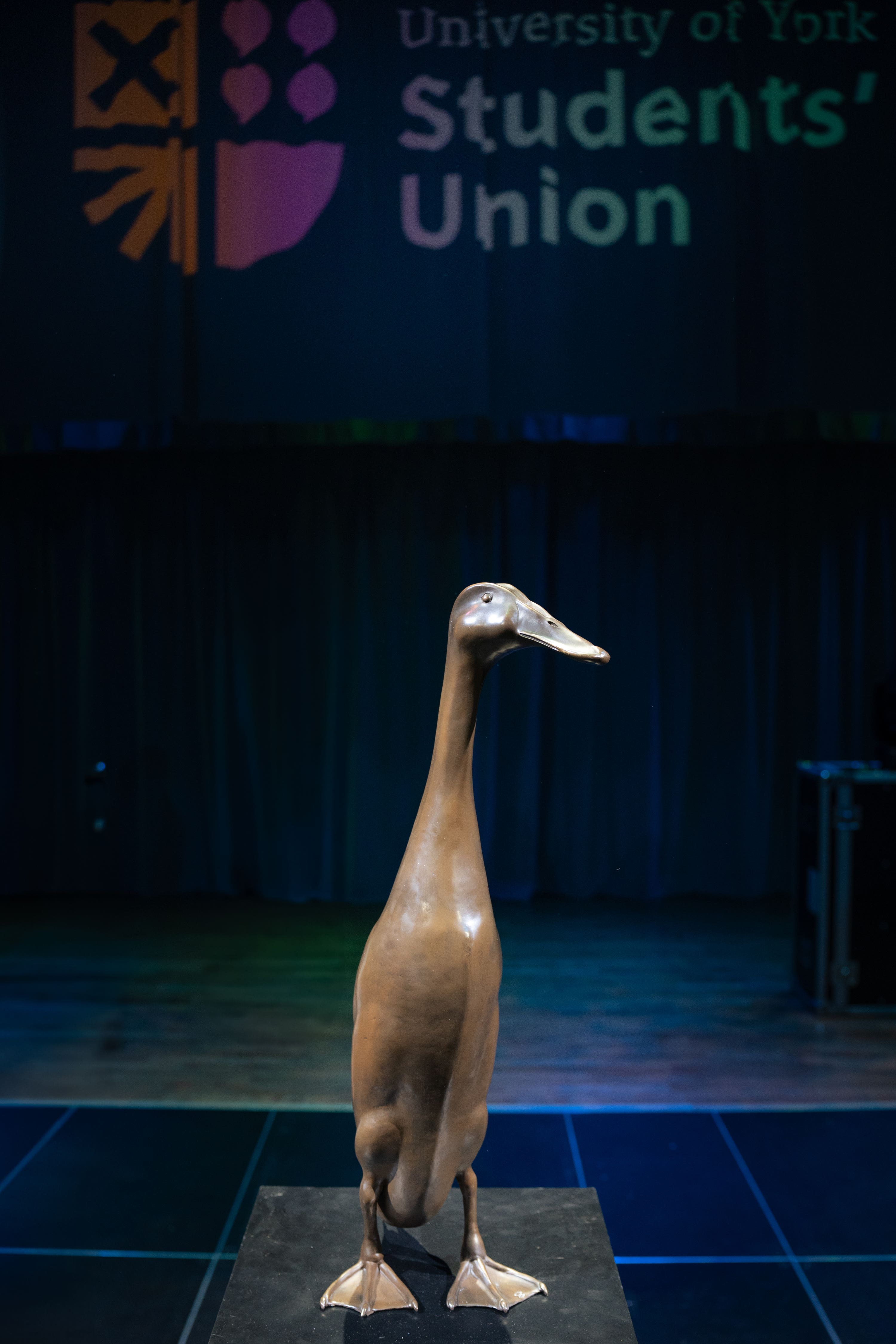 A statue has been unveiled of the extra-tall duck