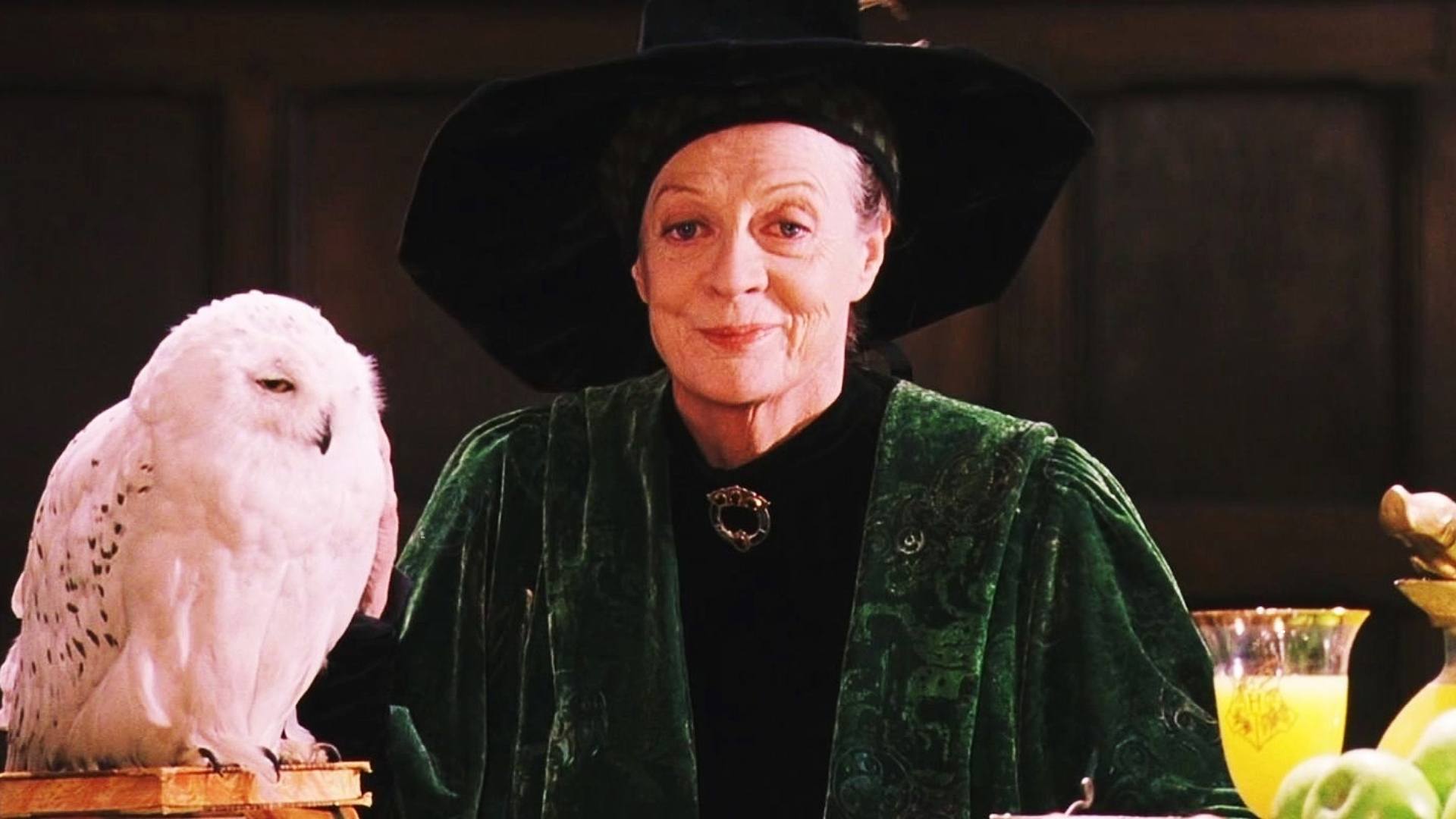 Dame Maggie Smith as Professor Minerva McGonagall in the Harry Potter series of films.