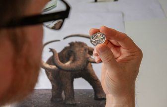 The Royal Mint: Woolly mammoths ‘brought back to life’ on first 50p coins in Ice Age Giants series