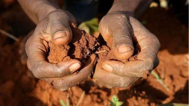 Drought-hit communities in Africa to benefit from £350,000 emergency funding