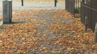 Glasgow residents asked to clean up fallen leaves to support council teams