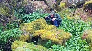 Naturalist discovers Last of Us fungus that ‘turns spiders into zombies’ in Scottish rainforest