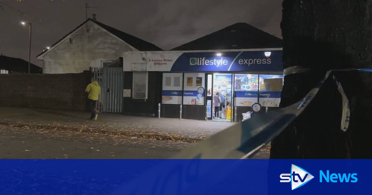 Girl, 7, in hospital after being attacked by dog as police lock down ...