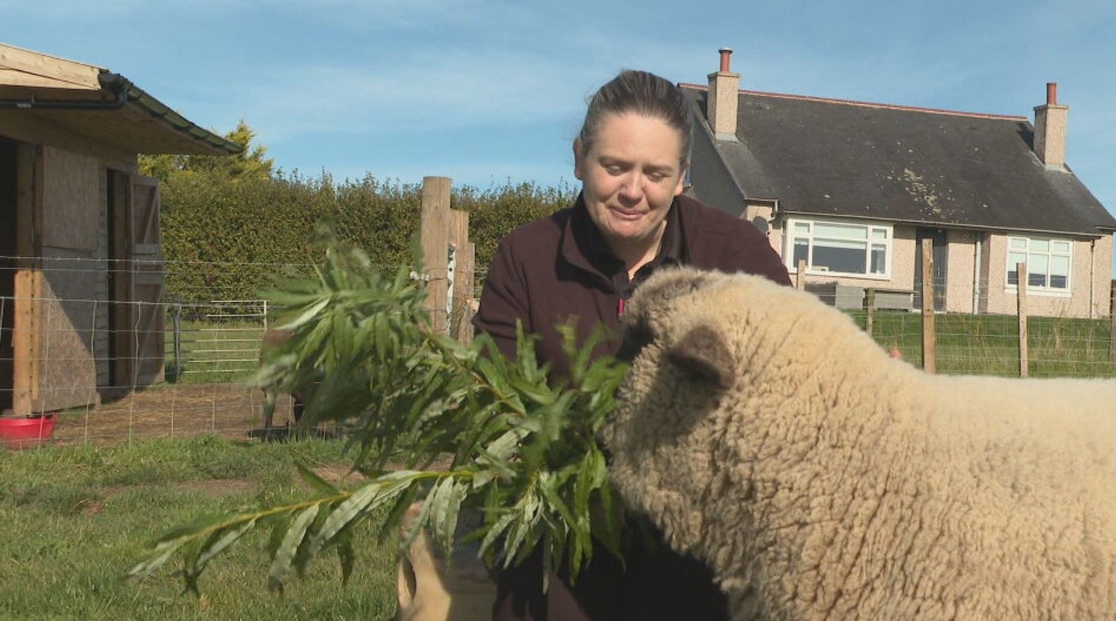 Christopher likes being hand-fed and enjoys cuddles with his owner