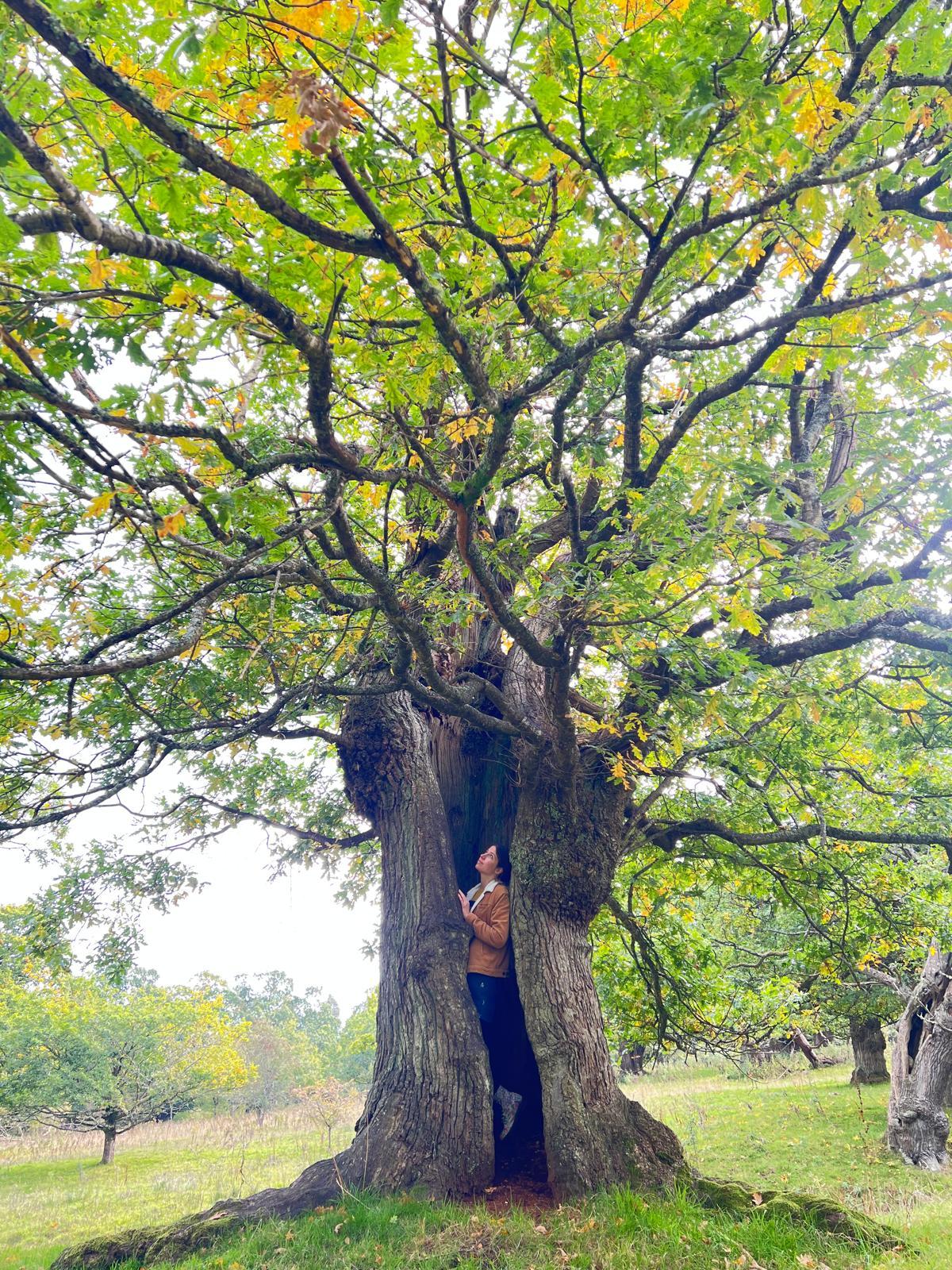 Hannah Mary Willow became Glasgow's first ever tree-hugging champion.