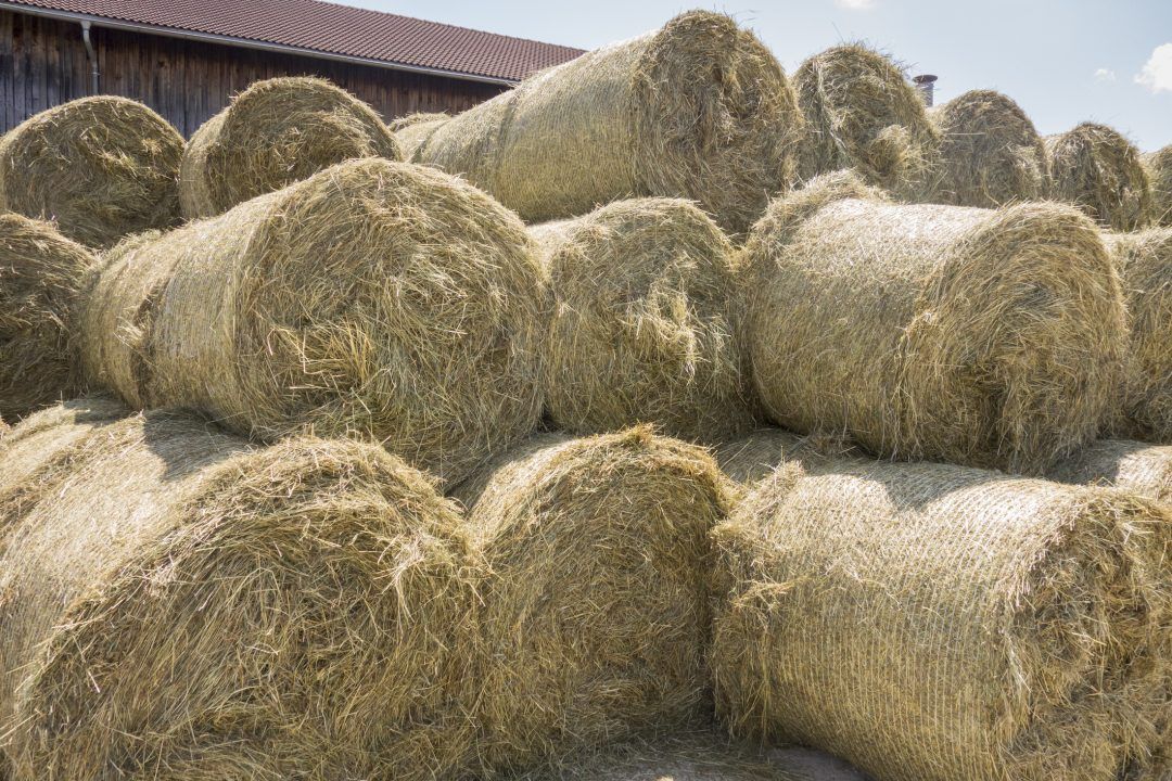 Investigation launched after 70 bales of hay set on fire at Earlston farm