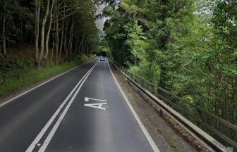 Man dies in hospital after multi-vehicle crash on A7 in Scottish Borders