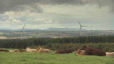 More recognition needed on environmental work, say farmers