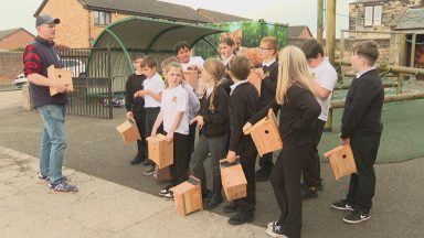 Teacher makes over 5,500 bird boxes for school pupils