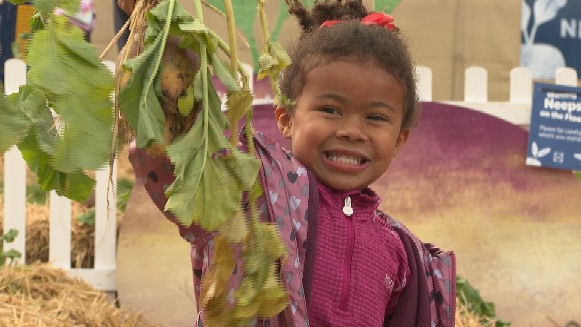 Scotland's first neep picking patch launched in Hamilton to raise money for charity.