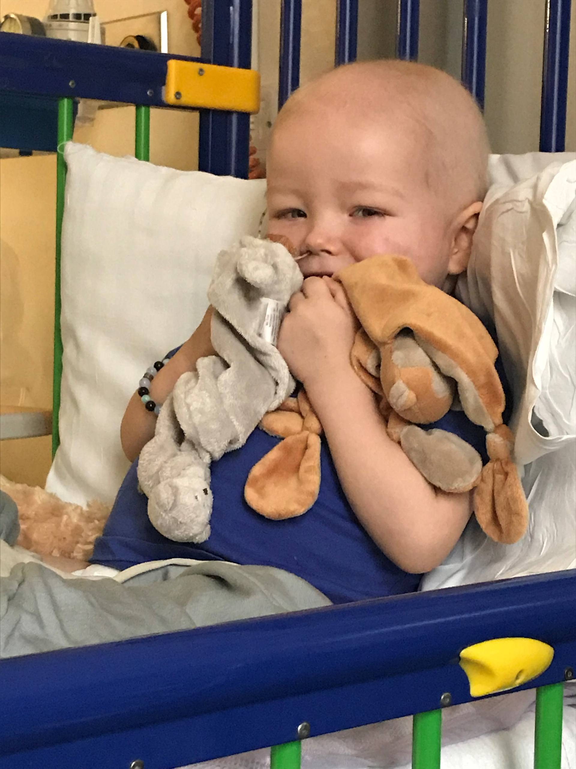 Frank Hanson died from T-cell acute lymphoblastic leukaemia (T-ALL) in 2019 shortly after his second birthday.