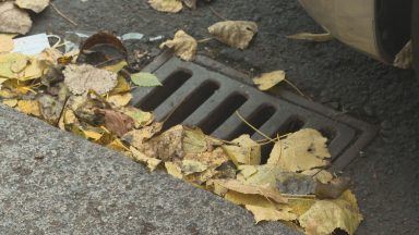 Glasgow residents asked to clean up fallen leaves to support council teams