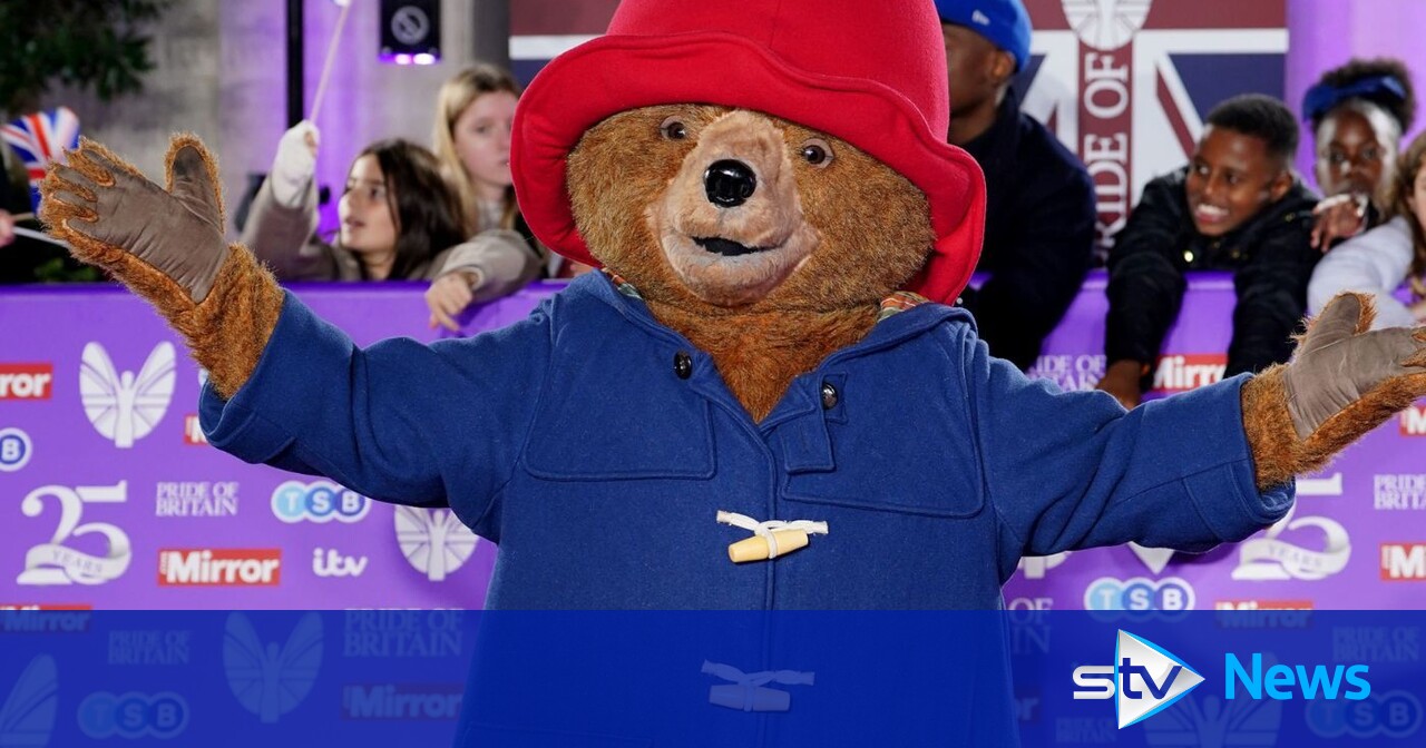 Nearly 2,000 fake Paddington Bear items seized in trading standards raids