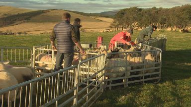 Tensions run high on Scottish farms over inheritance tax changes