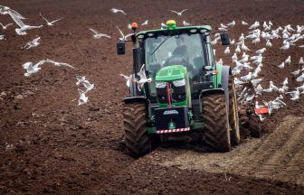 Tories to urge Treasury to reverse ‘cruel’ farm inheritance tax changes