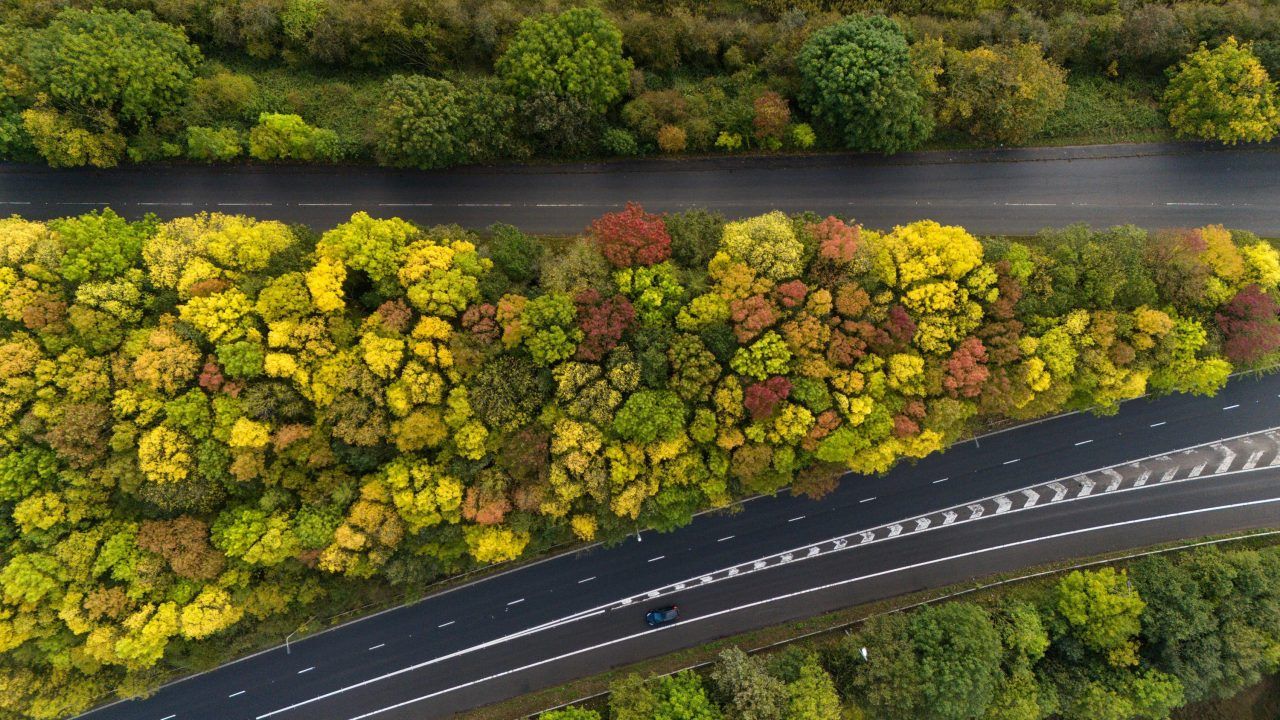 Conservation charity says nature and forestry cuts should be reversed following Budget funding increase