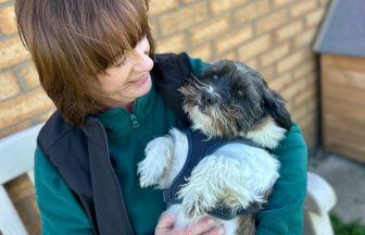 Edinburgh Dog and Cat Home experiencing record-breaking demand for services over past year