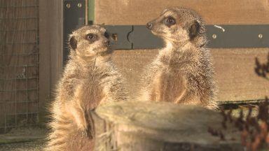 Disadvantaged youngsters in Edinburgh given chance to become zookeeper for the day