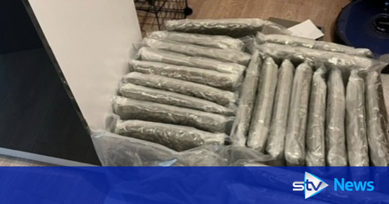 Nine arrested as cannabis worth over £6m seized in county lines ...
