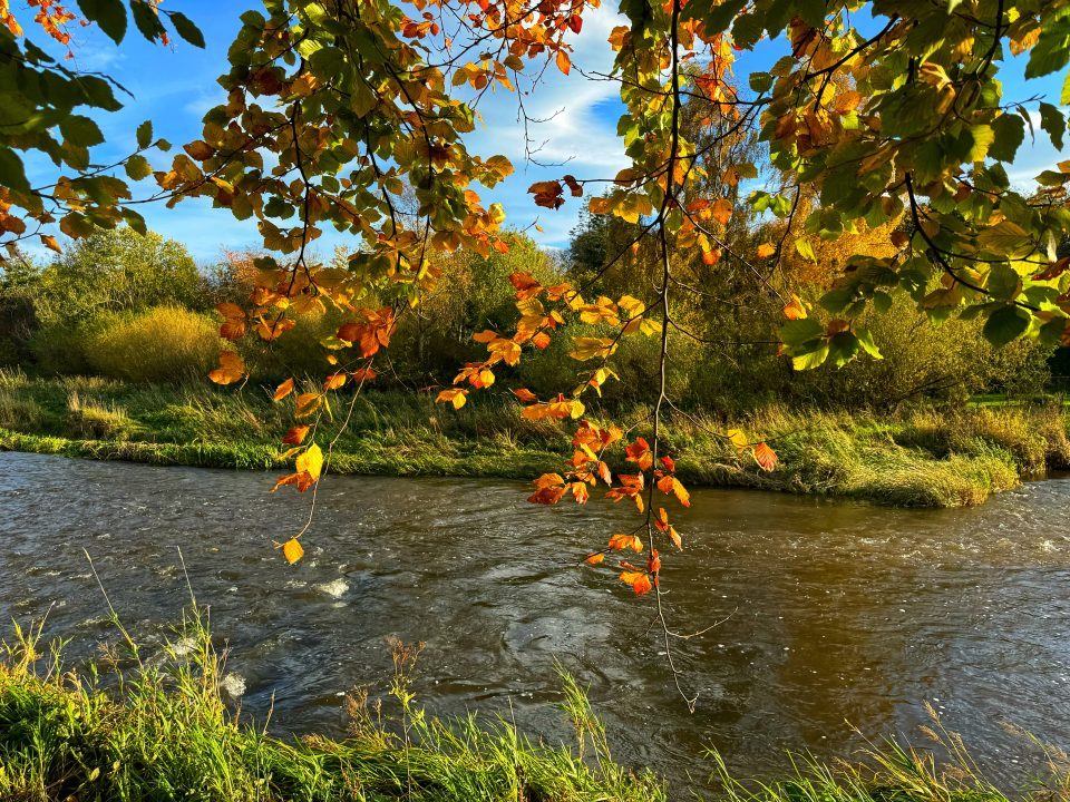 Sean Batty: Calm and stable period of weather could see temperatures soar to 16C in some areas 