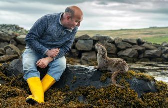 Billy and Molly: Otter love story in Shetland told in award-winning documentary