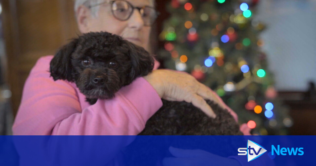 Scottish charity pairs elderly people with rescue pets to fight loneliness one wag at a time