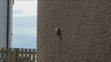 Calls for new build controls after dad finds coffee cup in wall